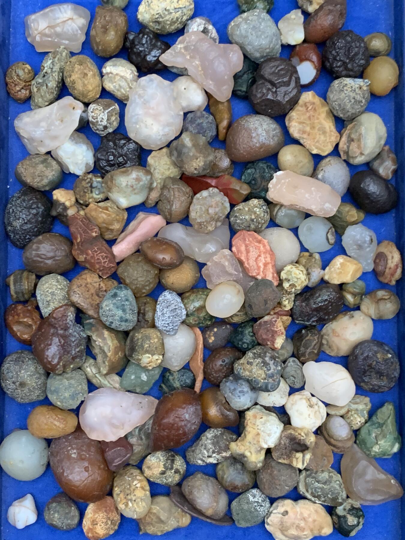 《竞宝斋》第471场 周日，周一，周二 3场连拍 （全场包邮）欢迎送拍 各类奇石玛瑙 重约2040克 细节品相见图