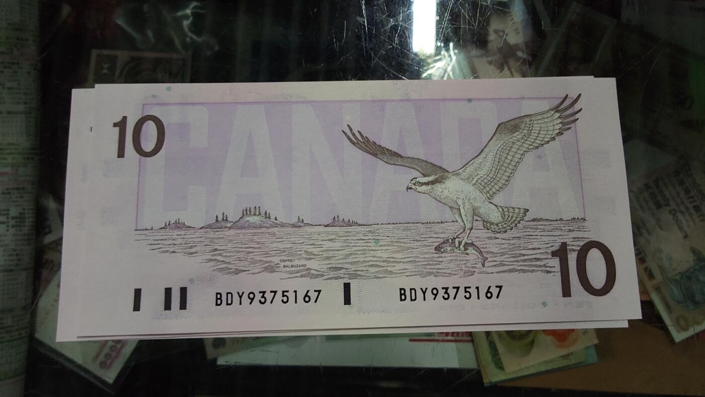 【陆续更新】世界钱币～微拍第240期暨2026年第21期  部分尾货整理陆续低价起拍清仓