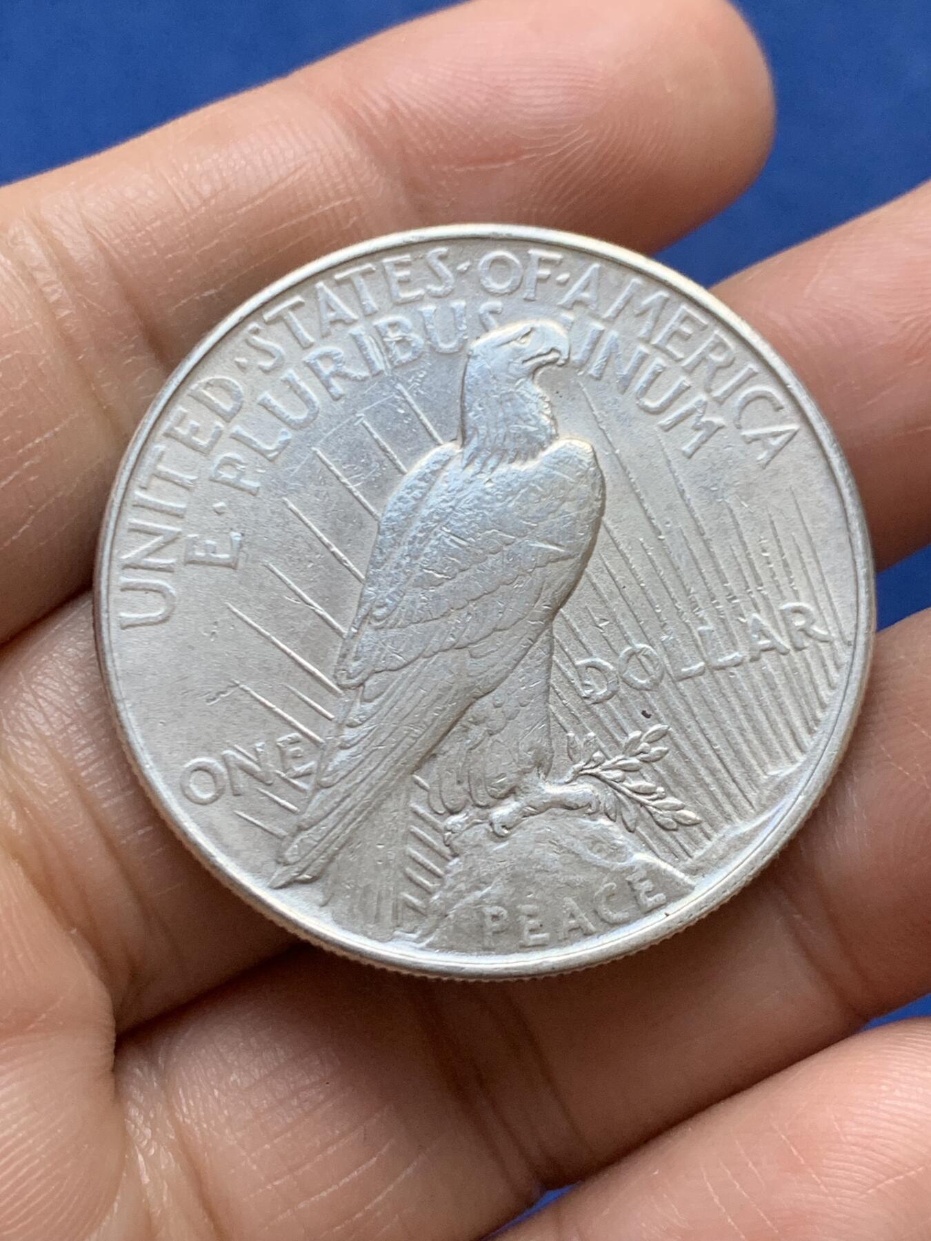 《竞宝斋》第471场 周日，周一，周二 3场连拍 （全场包邮）欢迎送拍 美国1922年和平鸽银币