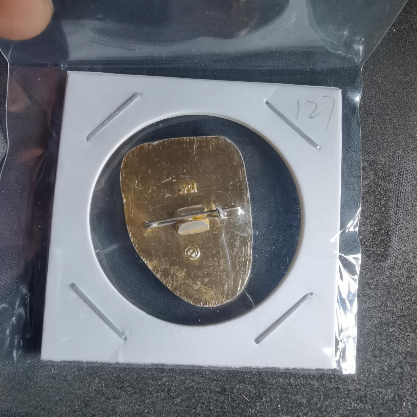 沼泽如烟--第1025场 纪念章