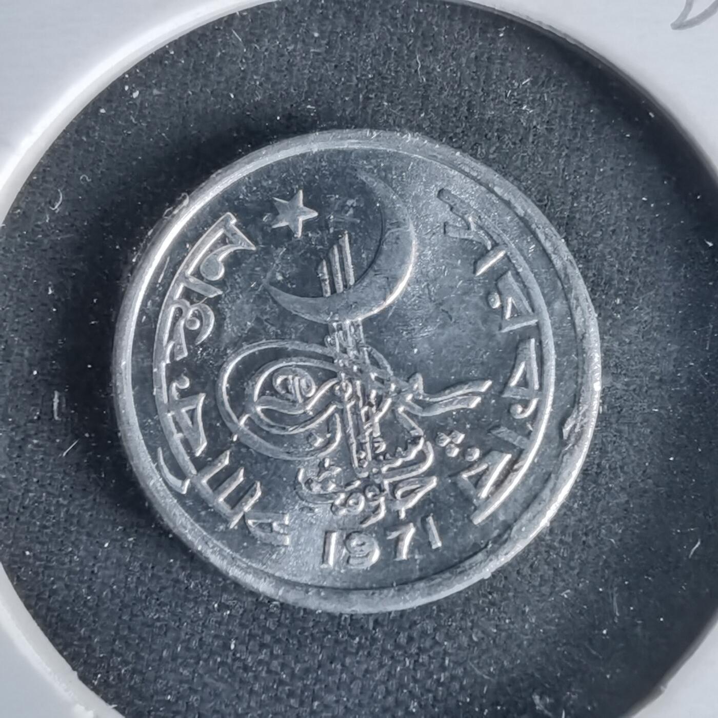 沼泽如烟--第1021场