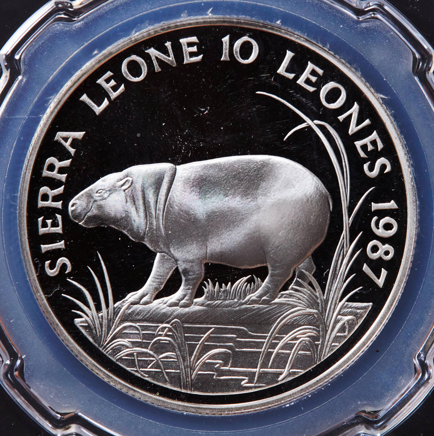 【俄甄集藏】2026年(049)03-18星期三 晚 19:30 全场包邮 塞拉利昂1987年总统约瑟夫·赛义杜·莫莫头像纪念野生动物保护基金-卑格米小河马10利昂精制大银币，重28.28克，92.5%银，发行量25000枚，设计精美