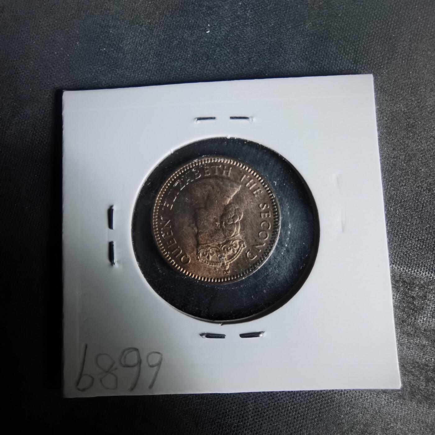 沼泽如烟--第1021场