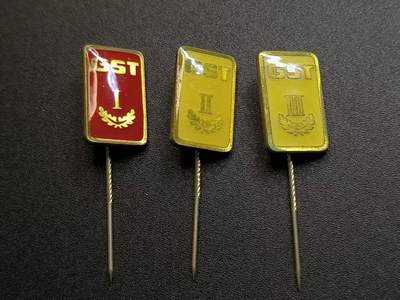 （不断上新，转发赚佣金和现金红包）云宸嘉赏-勋臻佳藏精品精选场次 - 民主德国GST准军事组织技能证章--一二三级一组好品