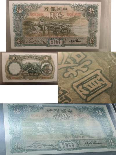 天津地名大绵羊 - 天津地名大绵羊