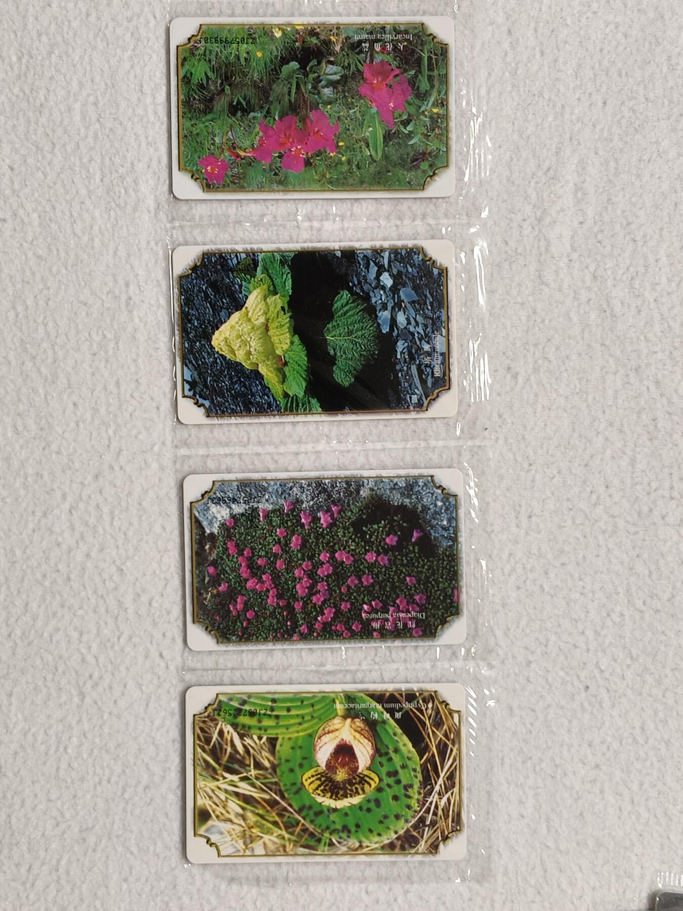 易卡拍卖第83期 IC—29高山花卉。ZJ浙江版。带原封套。收藏级品相。如图所示！