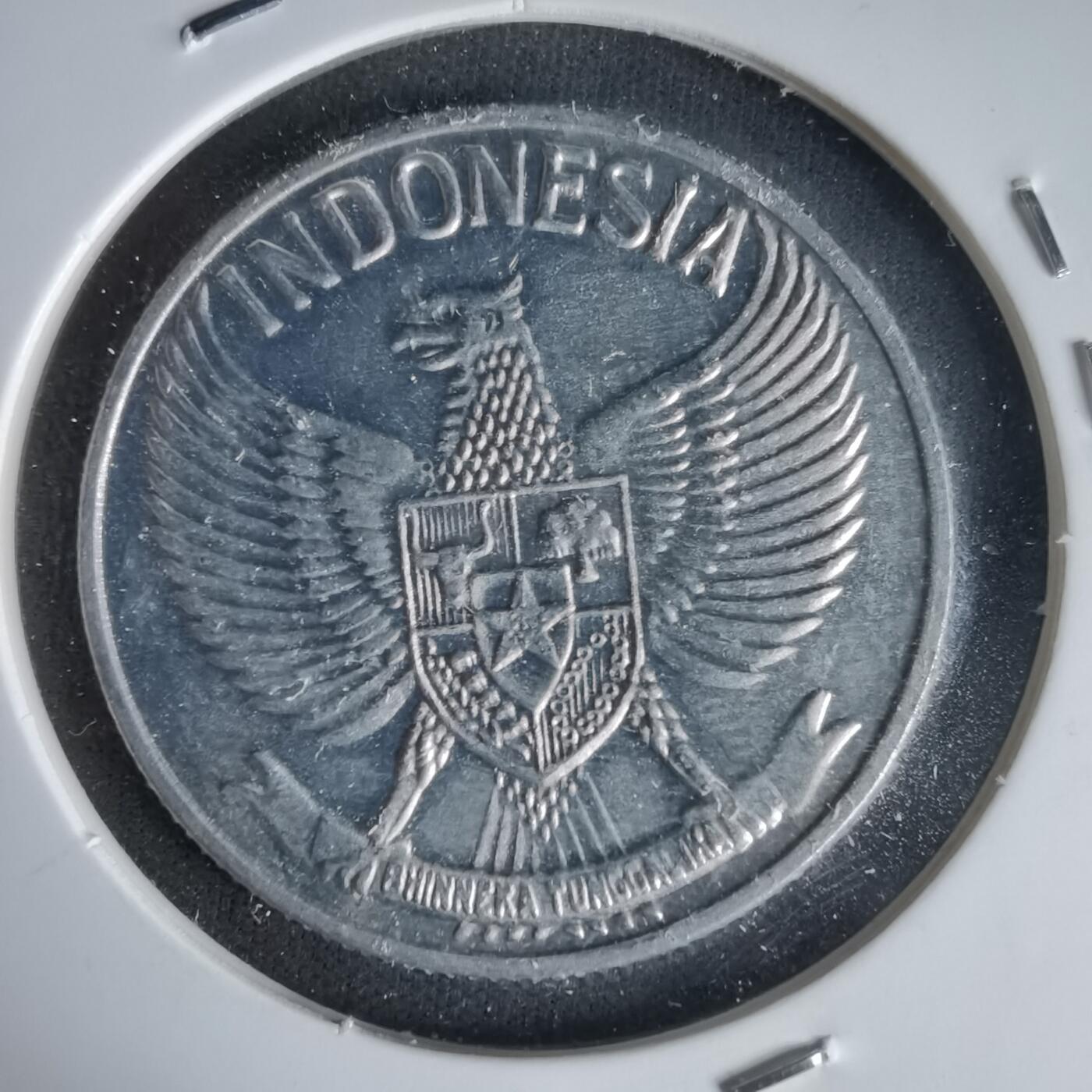 沼泽如烟--第1021场