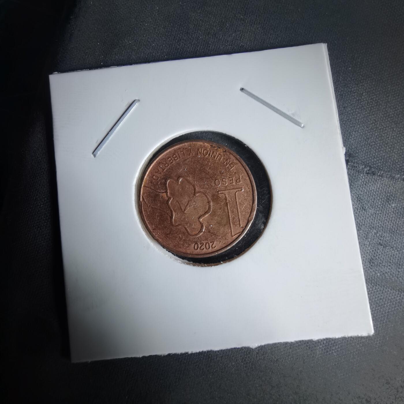 沼泽如烟--第1025场