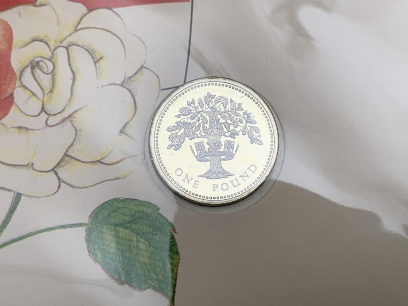 《竞宝斋》第471场 周日，周一，周二 3场连拍 （全场包邮）欢迎送拍 两枚一组 1987年英国老1英镑首日封/邮币封（Royal Mint和Royal Mail联合发行）