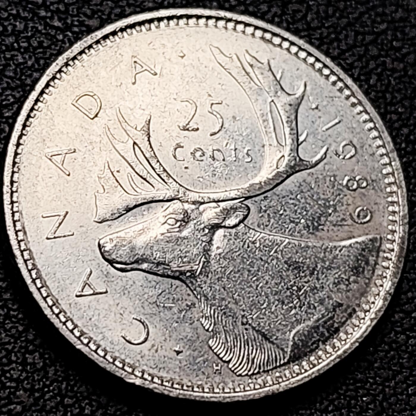 泉币菌-第211场-拍品多 请提前出价 。