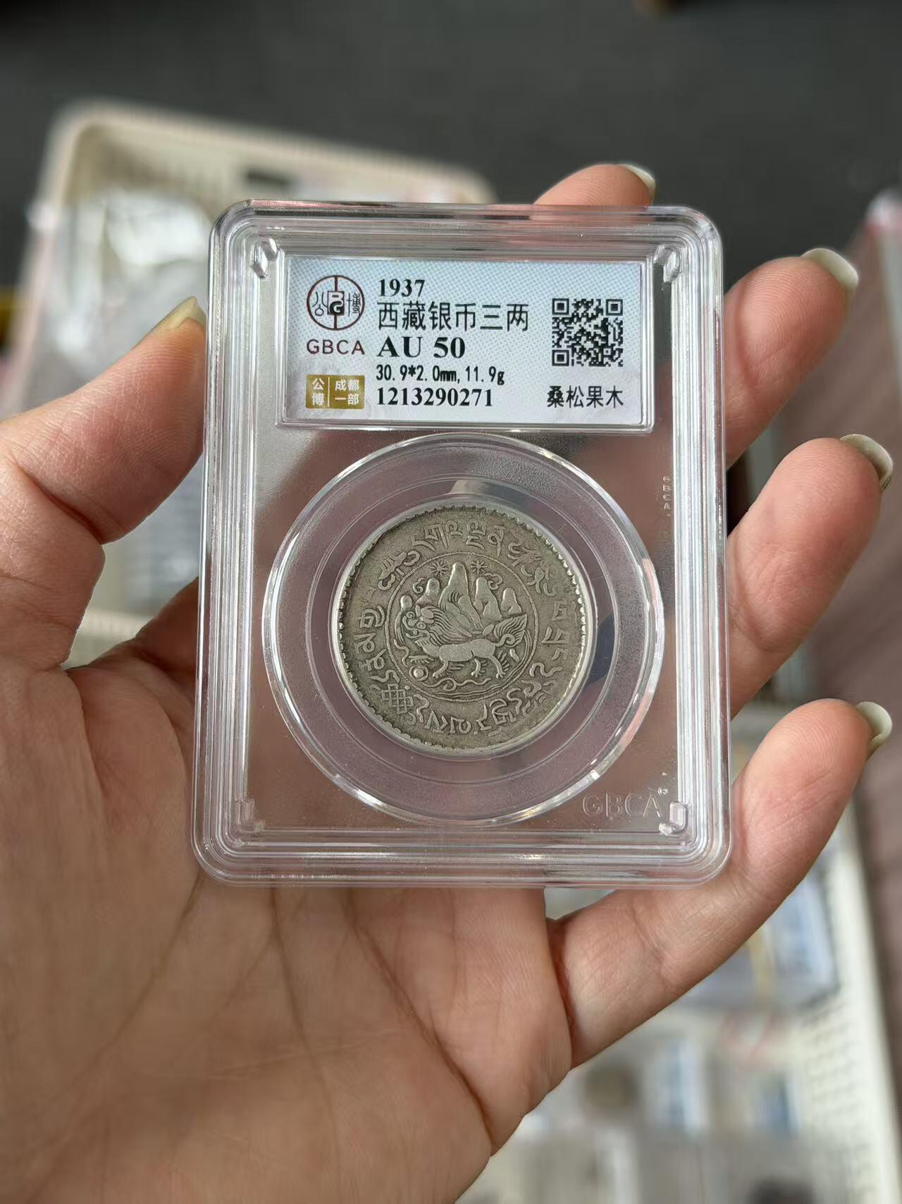 公博50西藏三两桑松果木