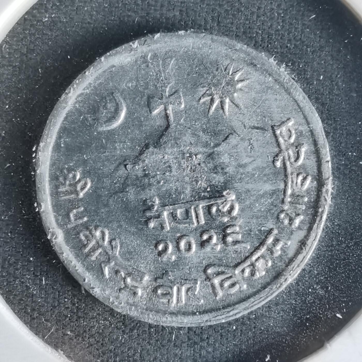 沼泽如烟--第1021场