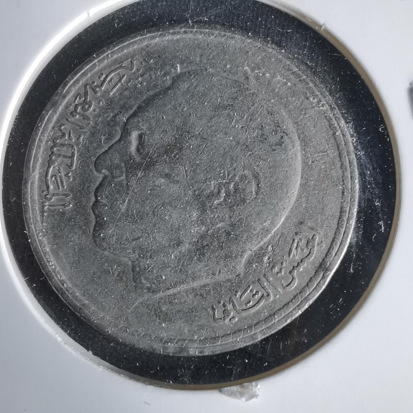 沼泽如烟--第1021场