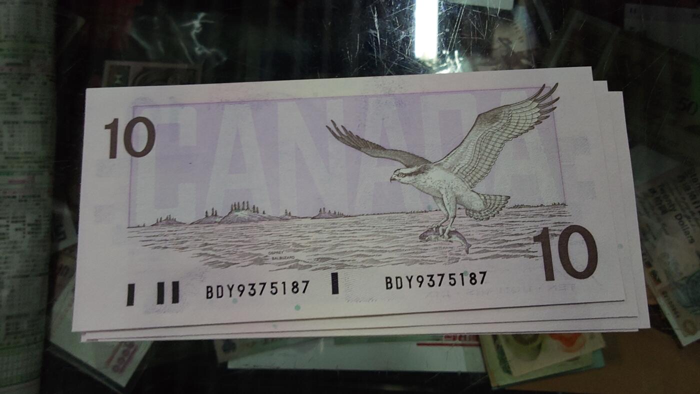 【陆续更新】世界钱币～微拍第240期暨2026年第21期  部分尾货整理陆续低价起拍清仓