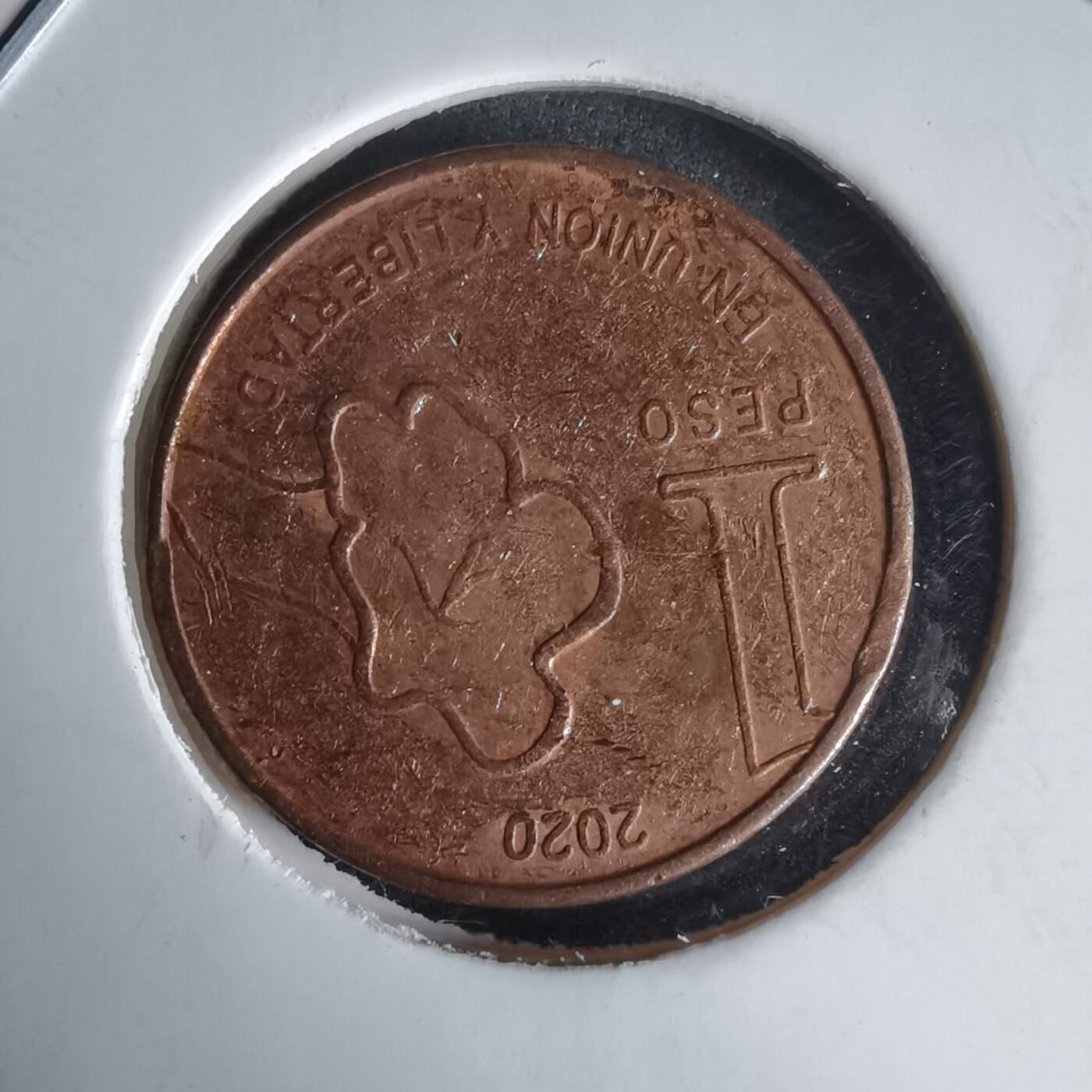 沼泽如烟--第1025场