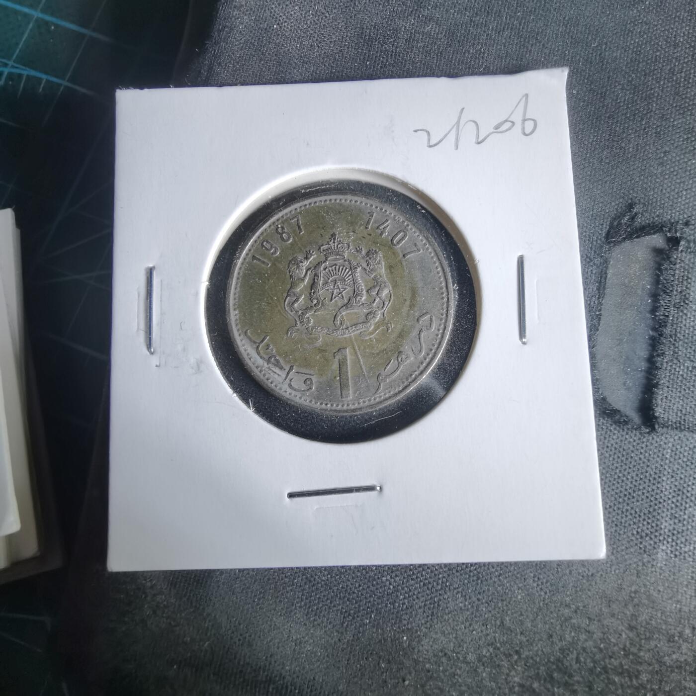 沼泽如烟--第1021场