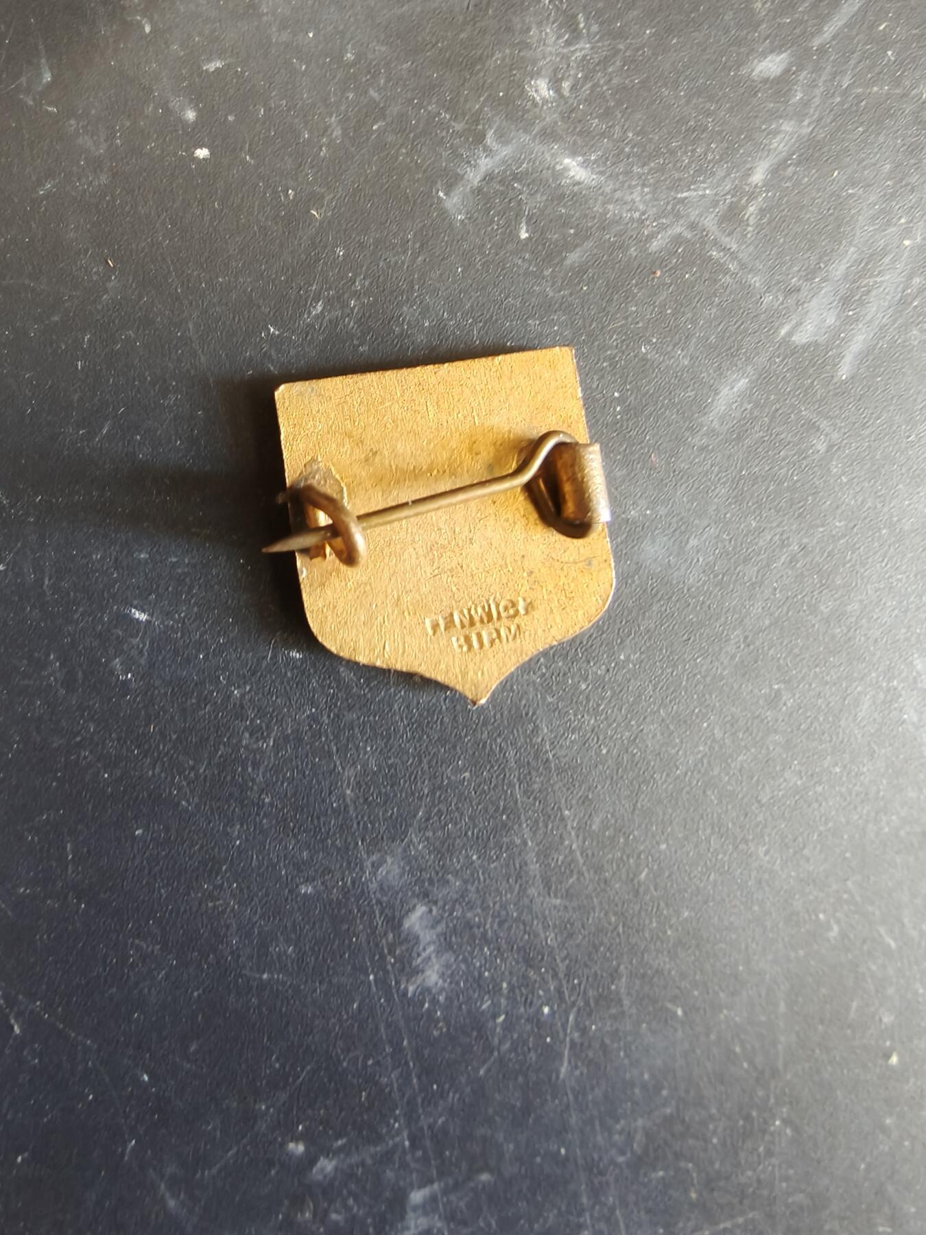 老王徽章第187期 法国证章