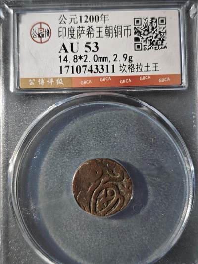 121期新疆红钱粟特钱币丝路钱币专场 - 印度萨希王朝铜币