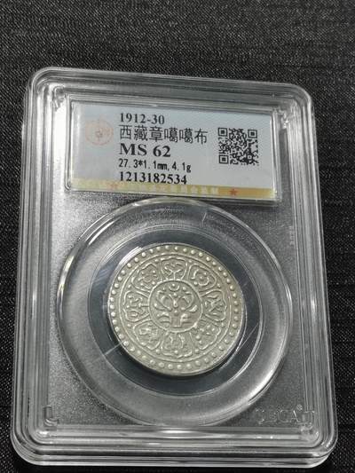 天下钱庄专场欢迎参拍 - 西藏章噶银币