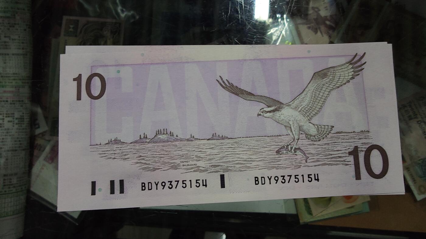 【陆续更新】世界钱币～微拍第240期暨2026年第21期  部分尾货整理陆续低价起拍清仓