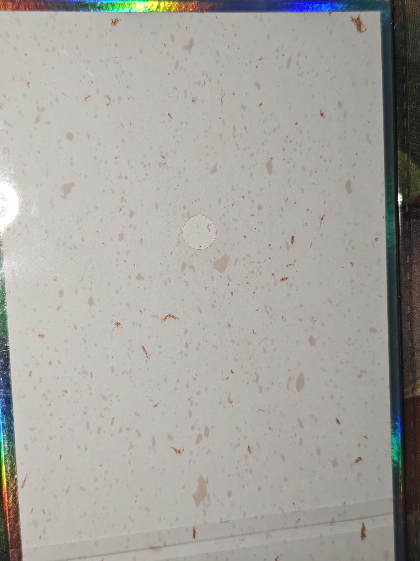 年后第二场，持续收拍中，有兴趣的老板可以私信，拜托拜托