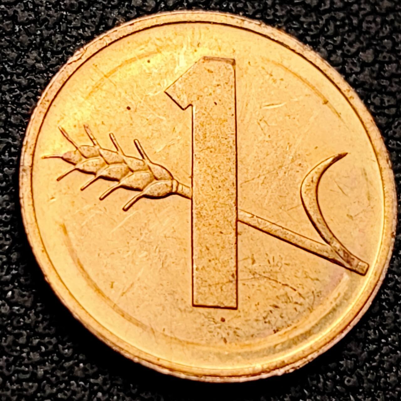 泉币菌-第211场-拍品多 请提前出价 。