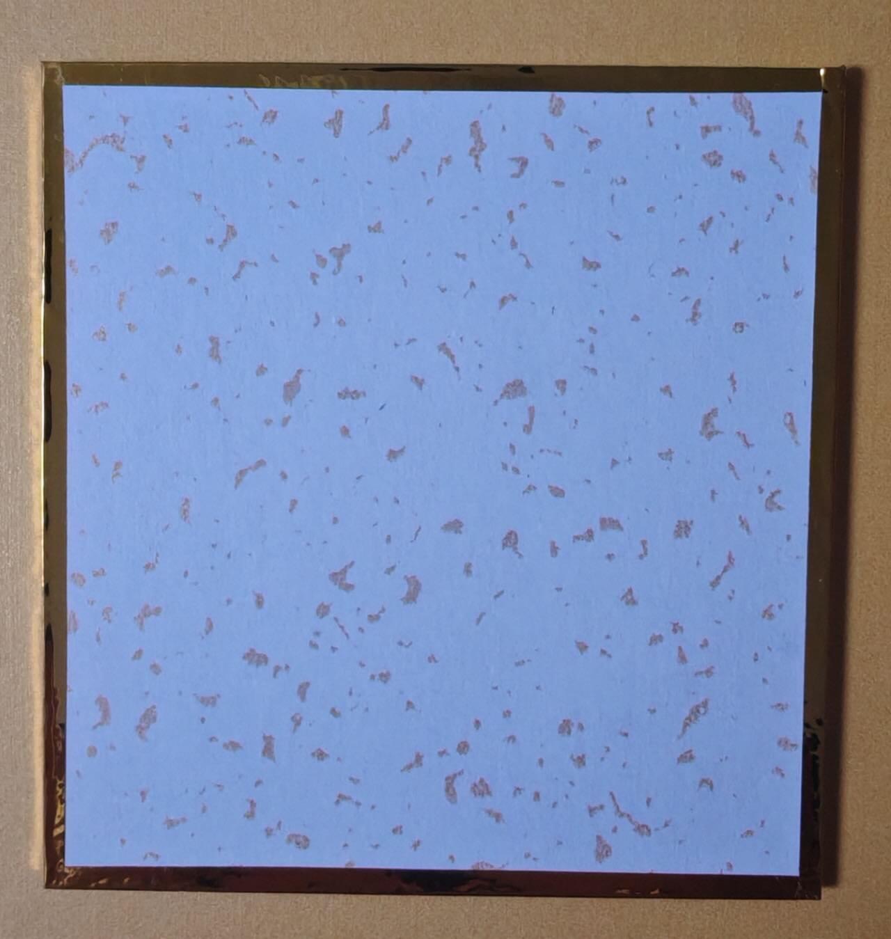 趣卡卡拍No.27期（无佣金免手续费，分享成交有奖）