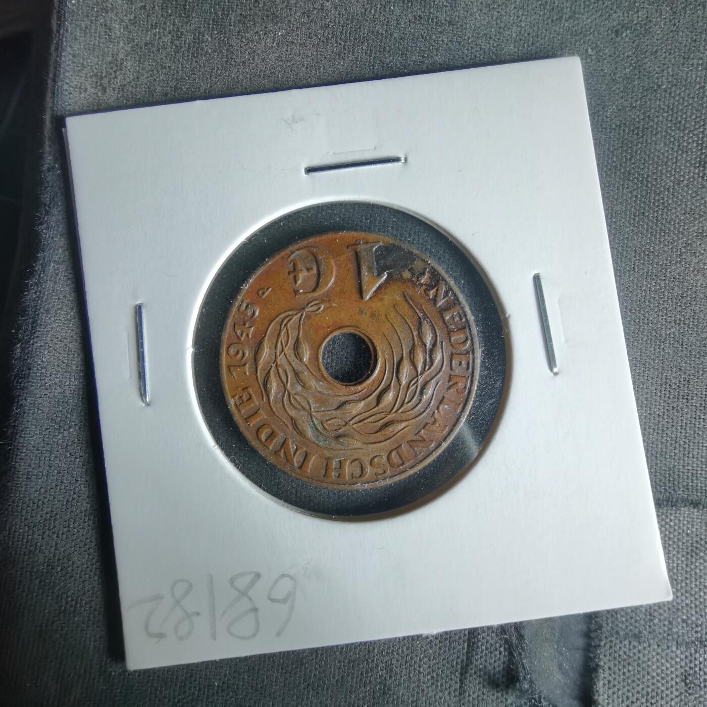 沼泽如烟--第1021场