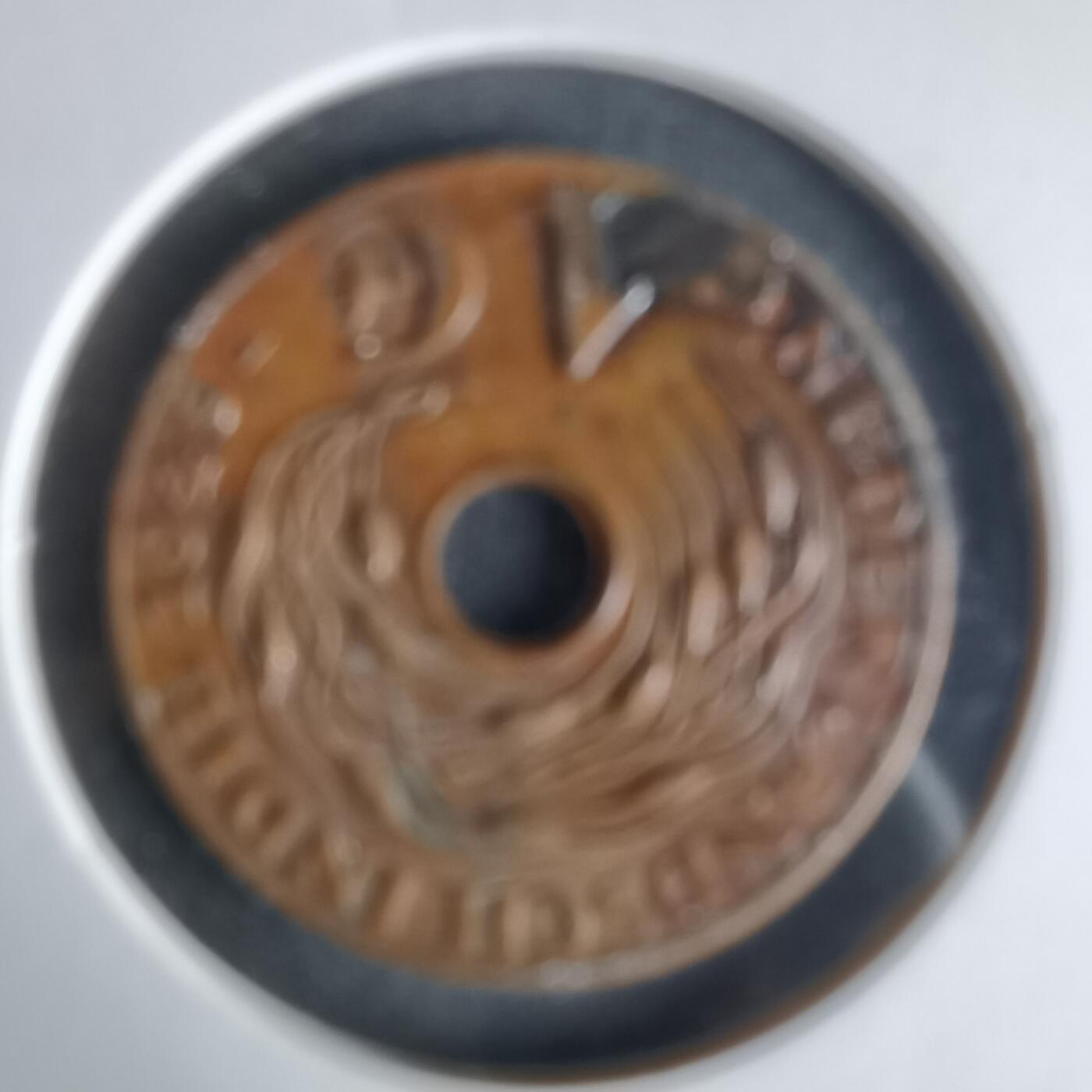 沼泽如烟--第1021场