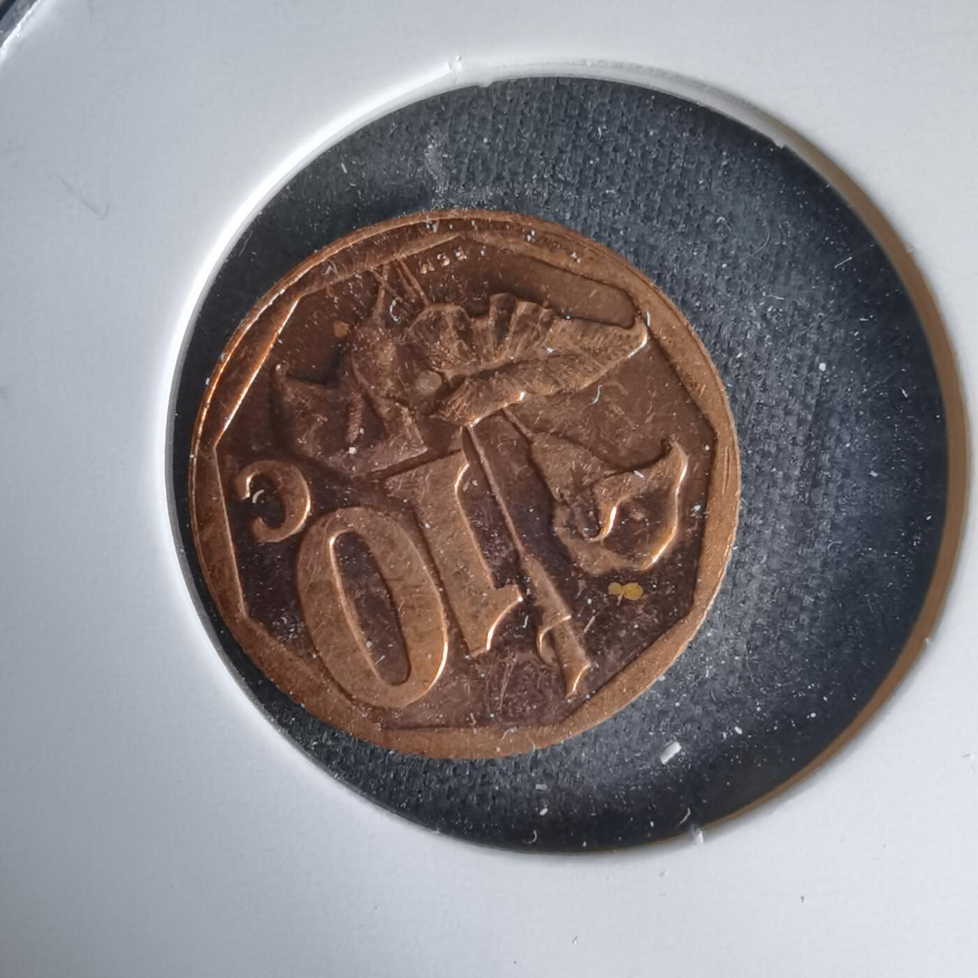 沼泽如烟--第1025场 南非2013年十分