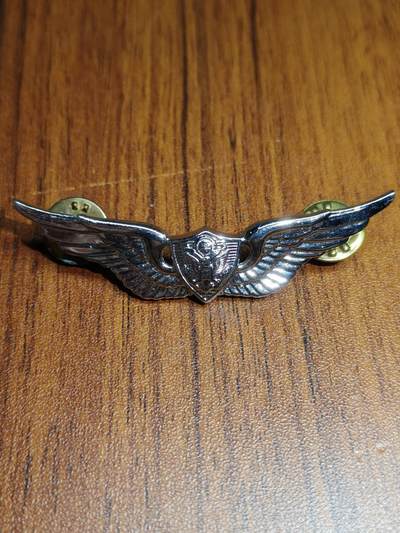 蜀地medal徽章收藏 春季精品拍场 - 美国陆地航空兵证章