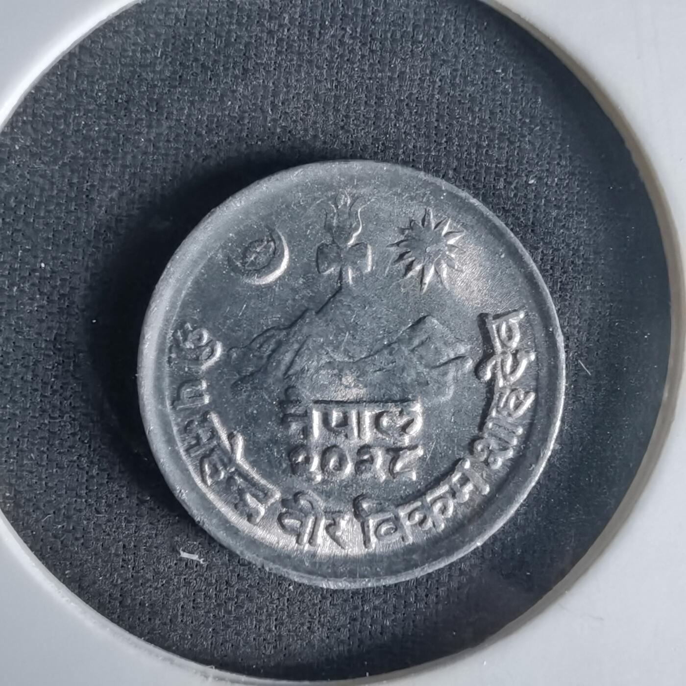 沼泽如烟--第1021场