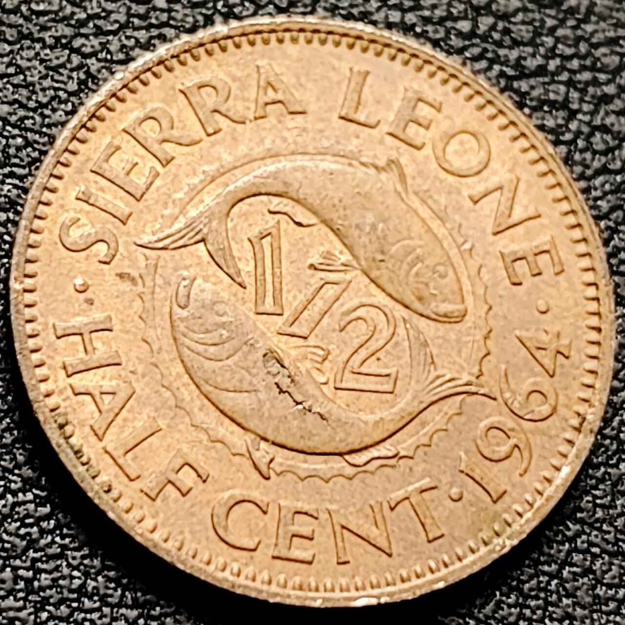 泉币菌-第211场-拍品多 请提前出价