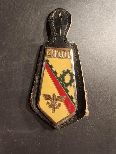 老王徽章第187期 - 法国空军第41指挥小组证章