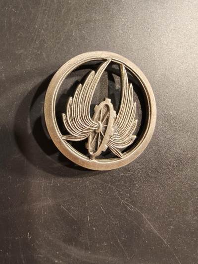 老王徽章第187期 - 法国后勤兵贝雷帽徽