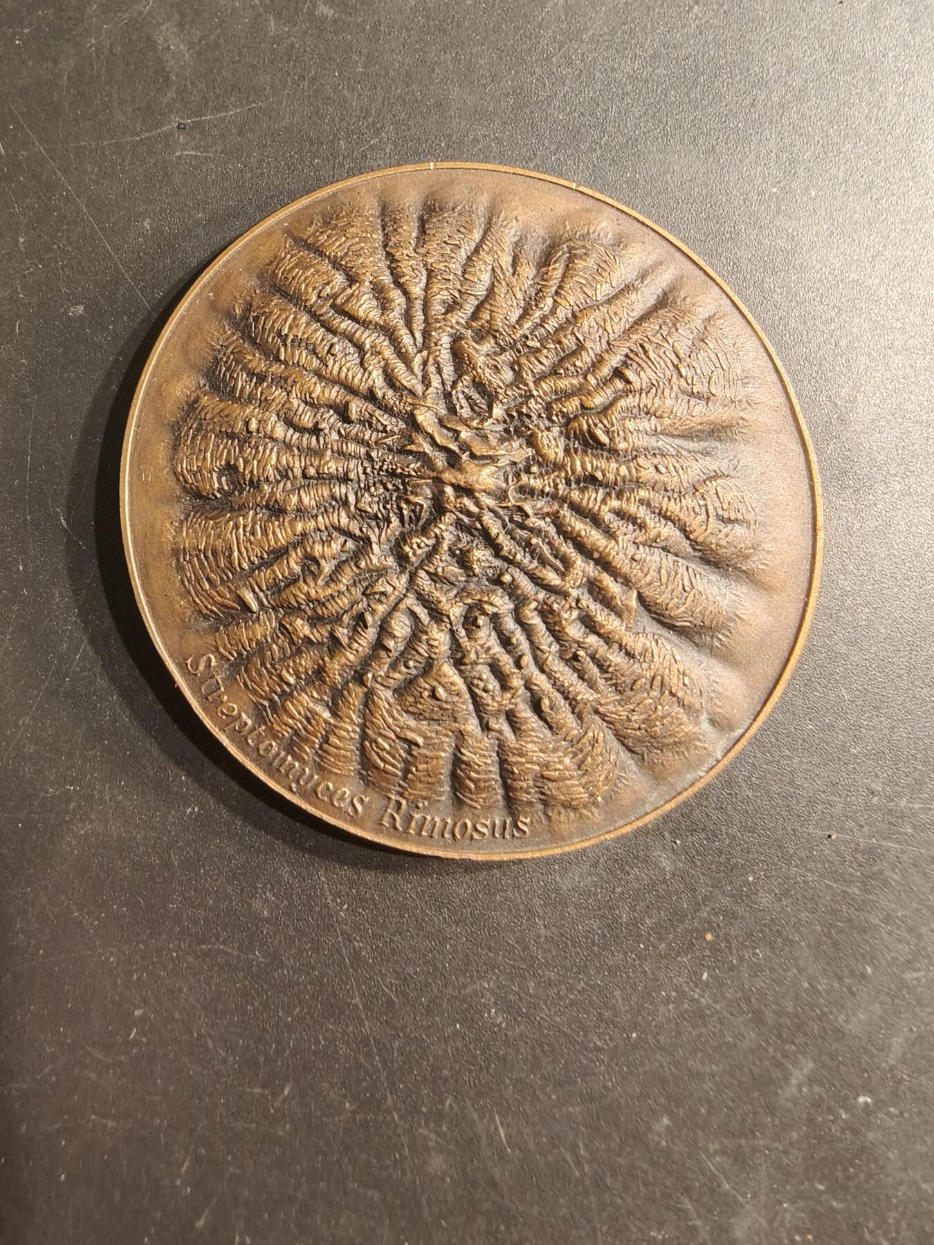 老王徽章第187期 辉瑞公司大铜章     直径56mm    重量66g