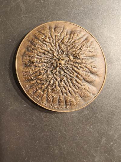 老王徽章第187期 - 辉瑞公司大铜章     直径56mm    重量66g