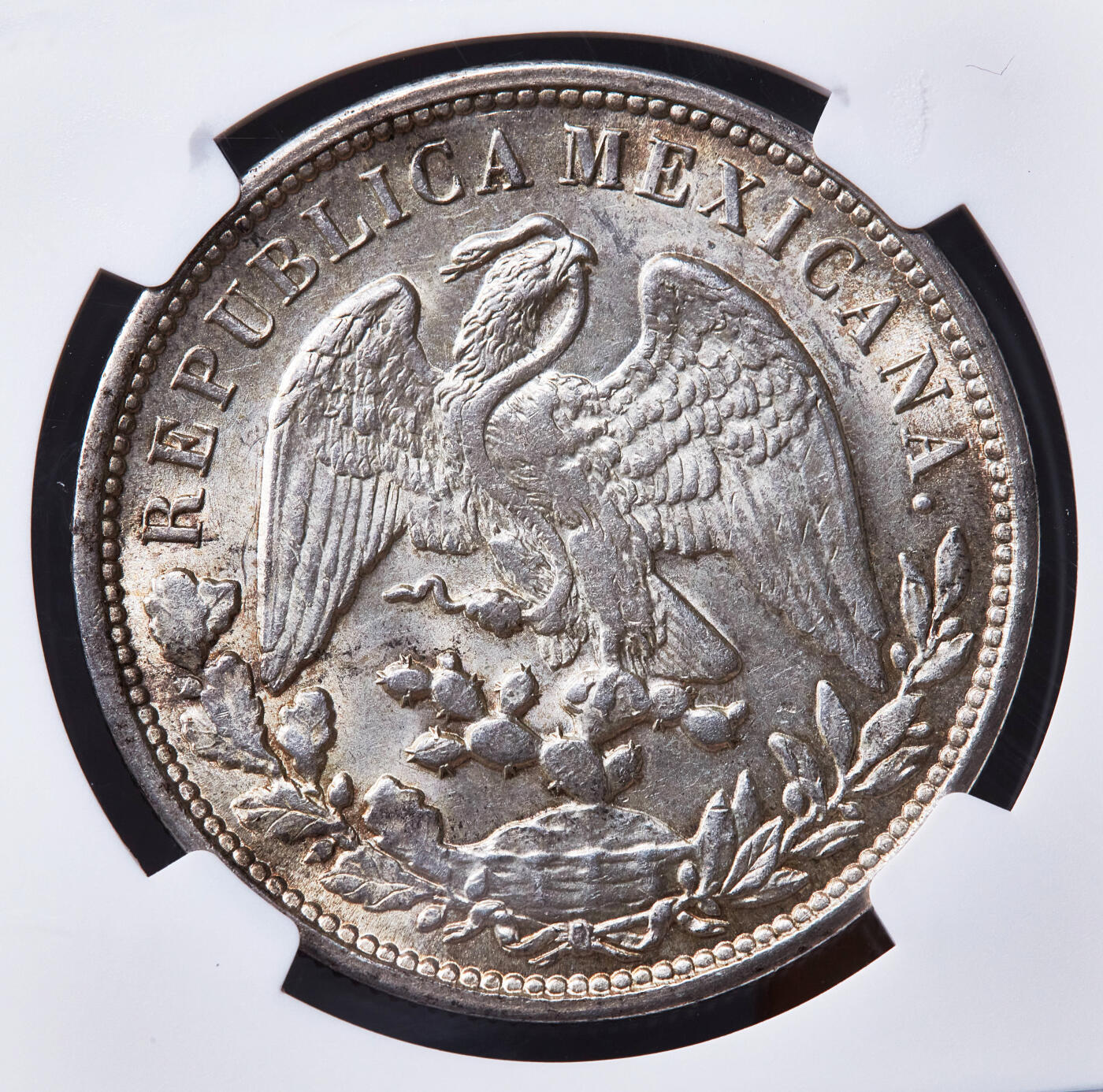 【俄甄集藏】2026年(049)03-18星期三 晚 19:30 全场包邮