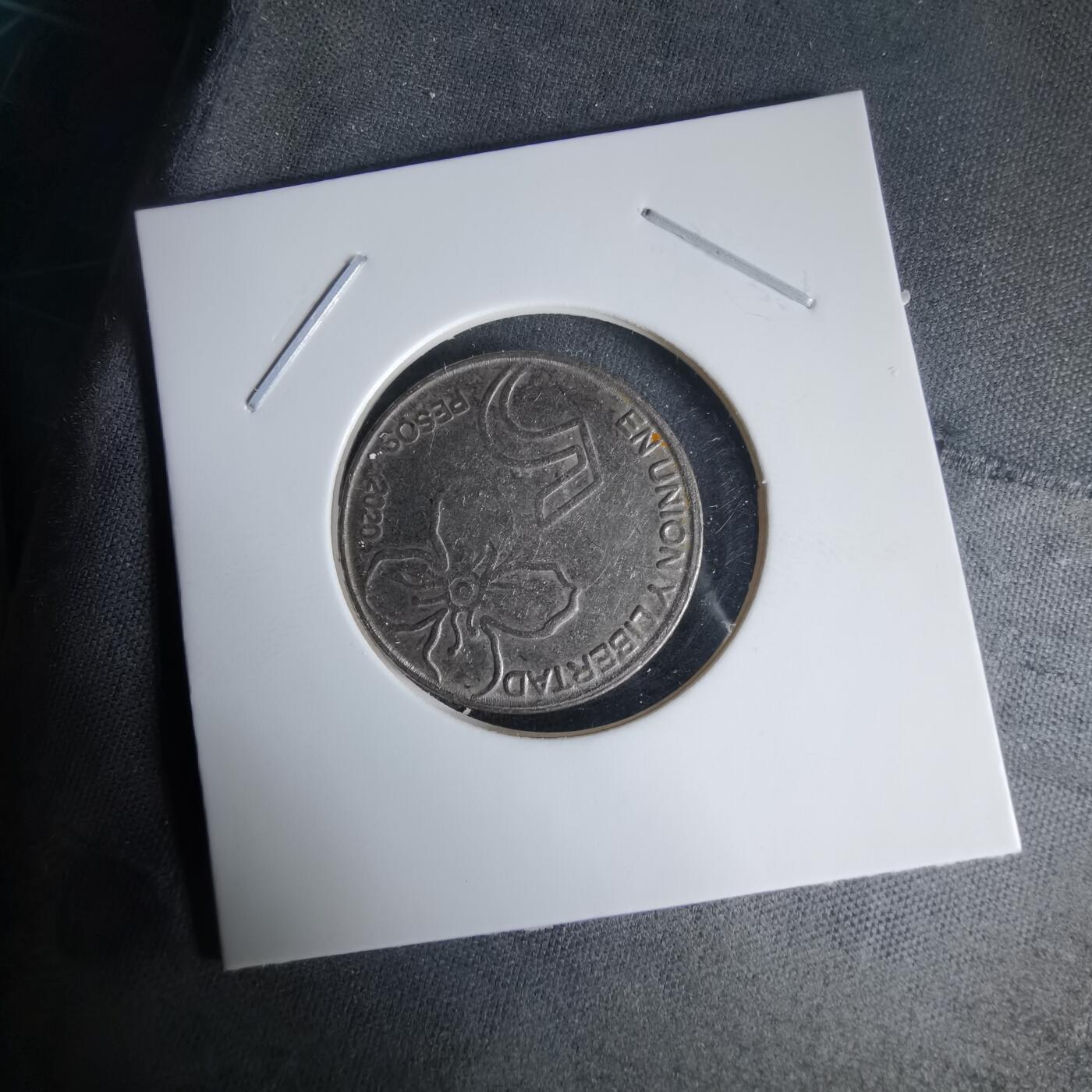 沼泽如烟--第1025场