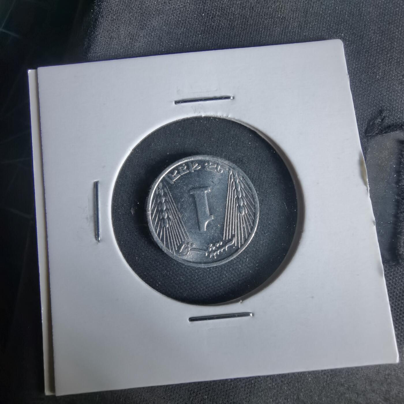 沼泽如烟--第1021场