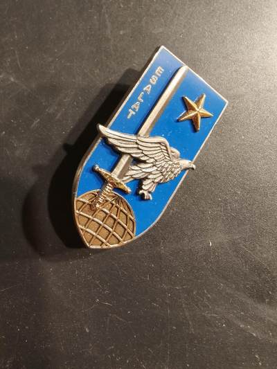 老王徽章第187期 - 法国陆军轻型航空兵学校证章