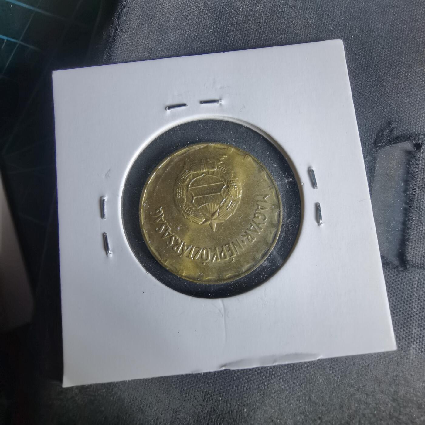 沼泽如烟--第1021场