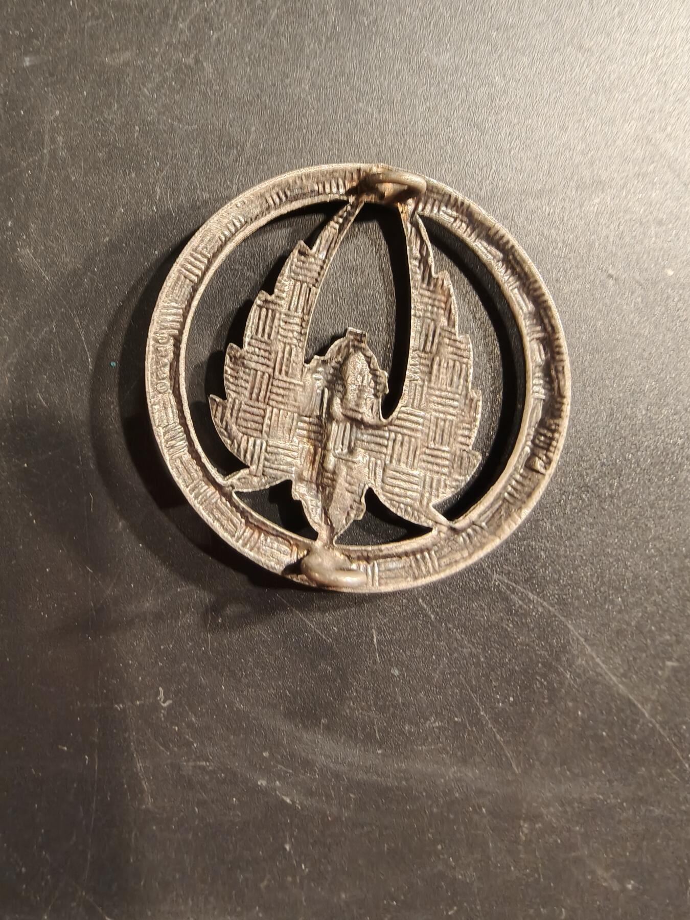 老王徽章第187期