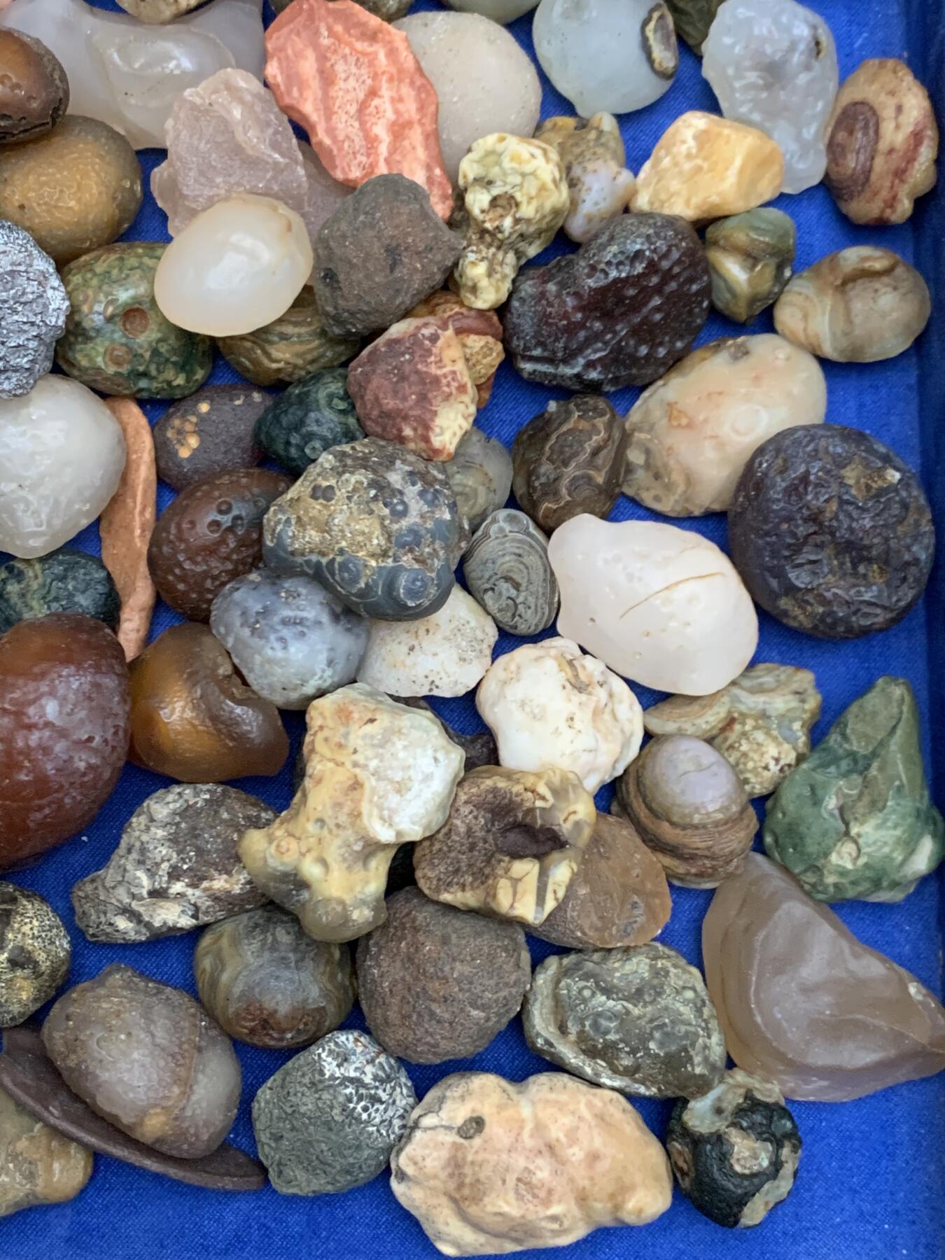 《竞宝斋》第471场 周日，周一，周二 3场连拍 （全场包邮）欢迎送拍 各类奇石玛瑙 重约2040克 细节品相见图