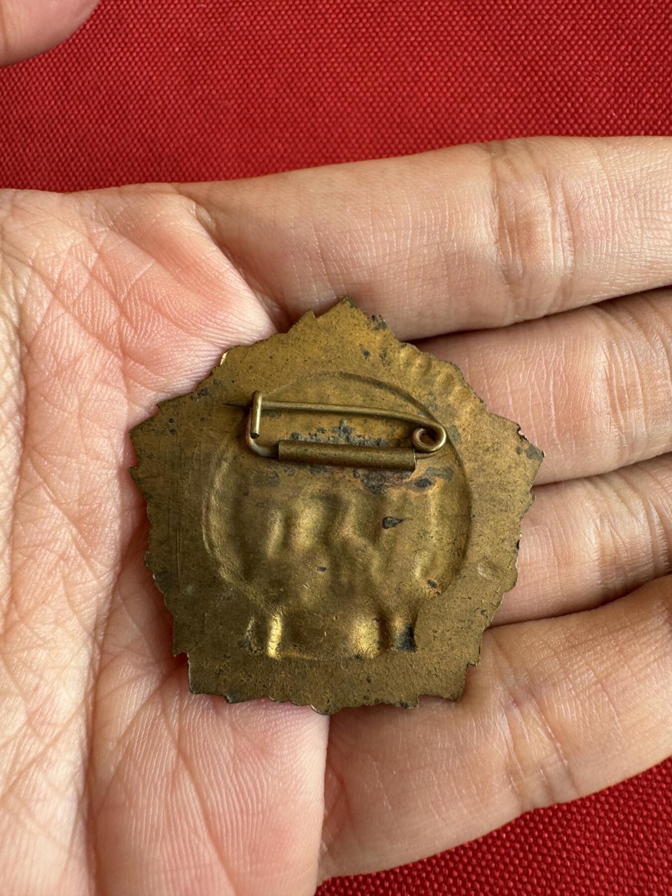 五哥徽章群   18号周三晚上八点4群联拍 铜章