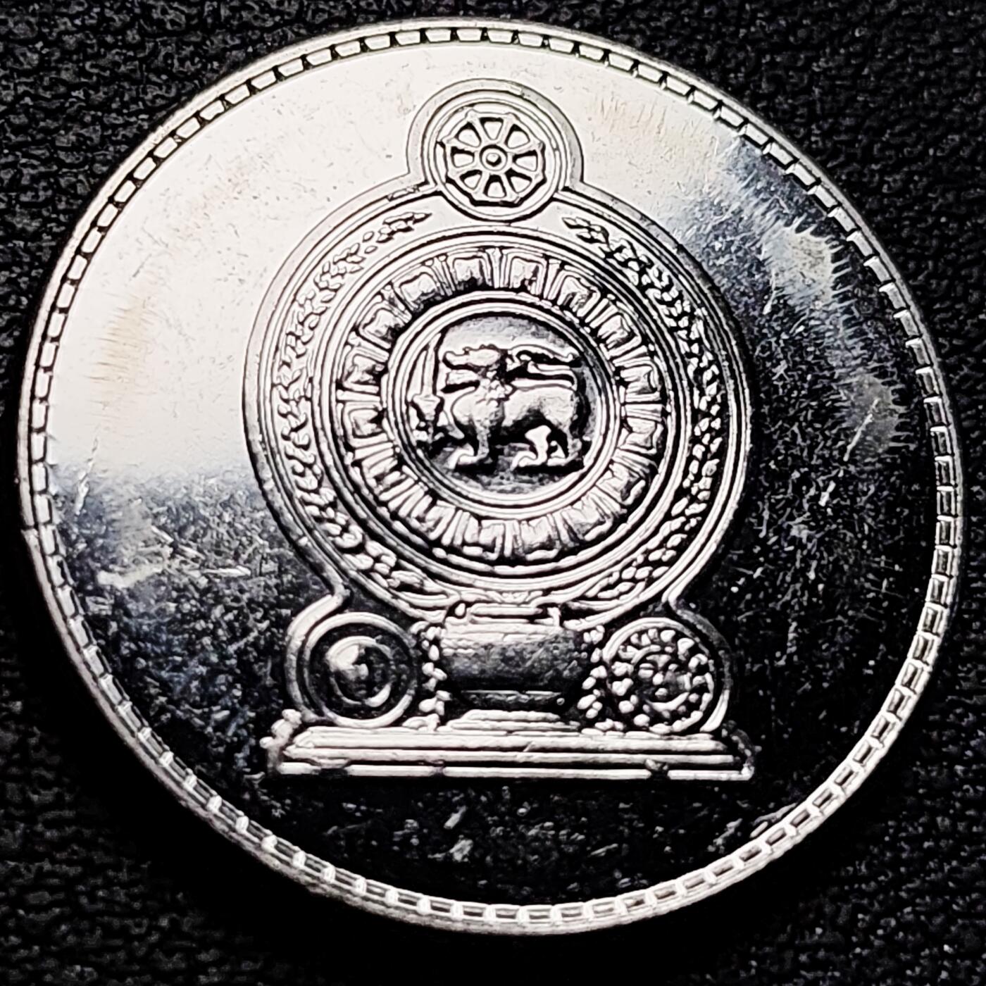 泉币菌-第212场-拍品多 请提前出价（工作最近较忙 发货不及时，望理解） 。