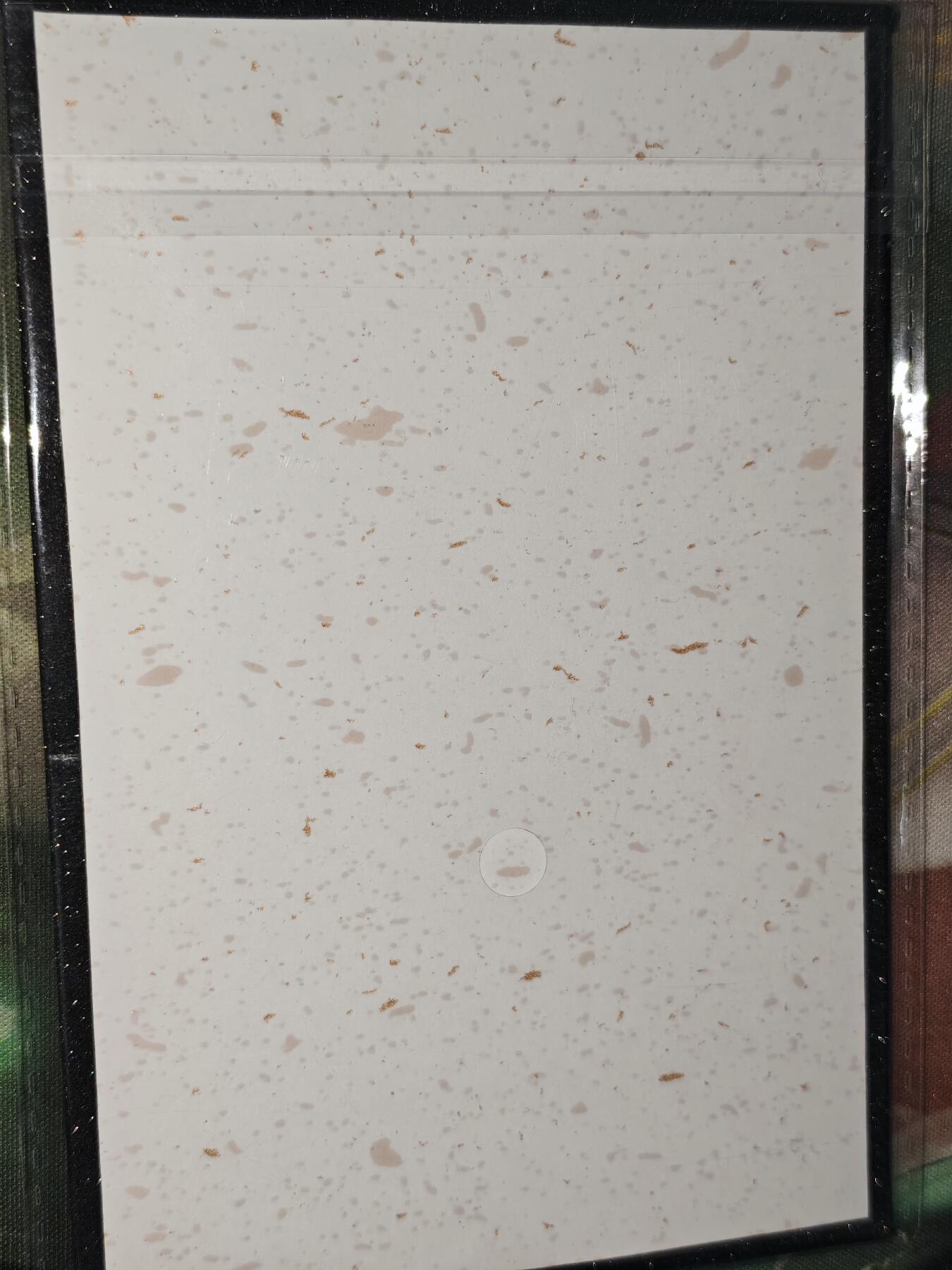 年后第二场，持续收拍中，有兴趣的老板可以私信，拜托拜托