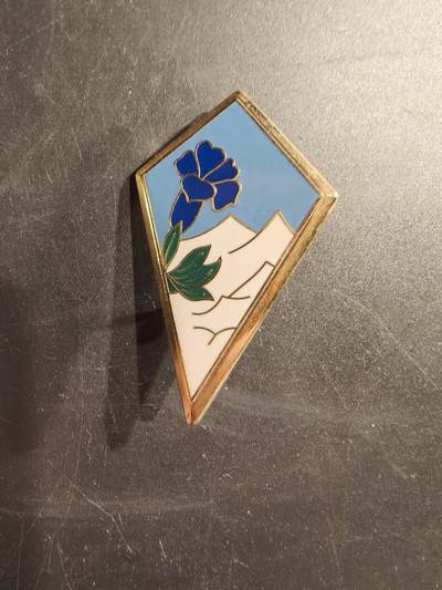 老王徽章第187期 - 法国陆军第27步兵师证章