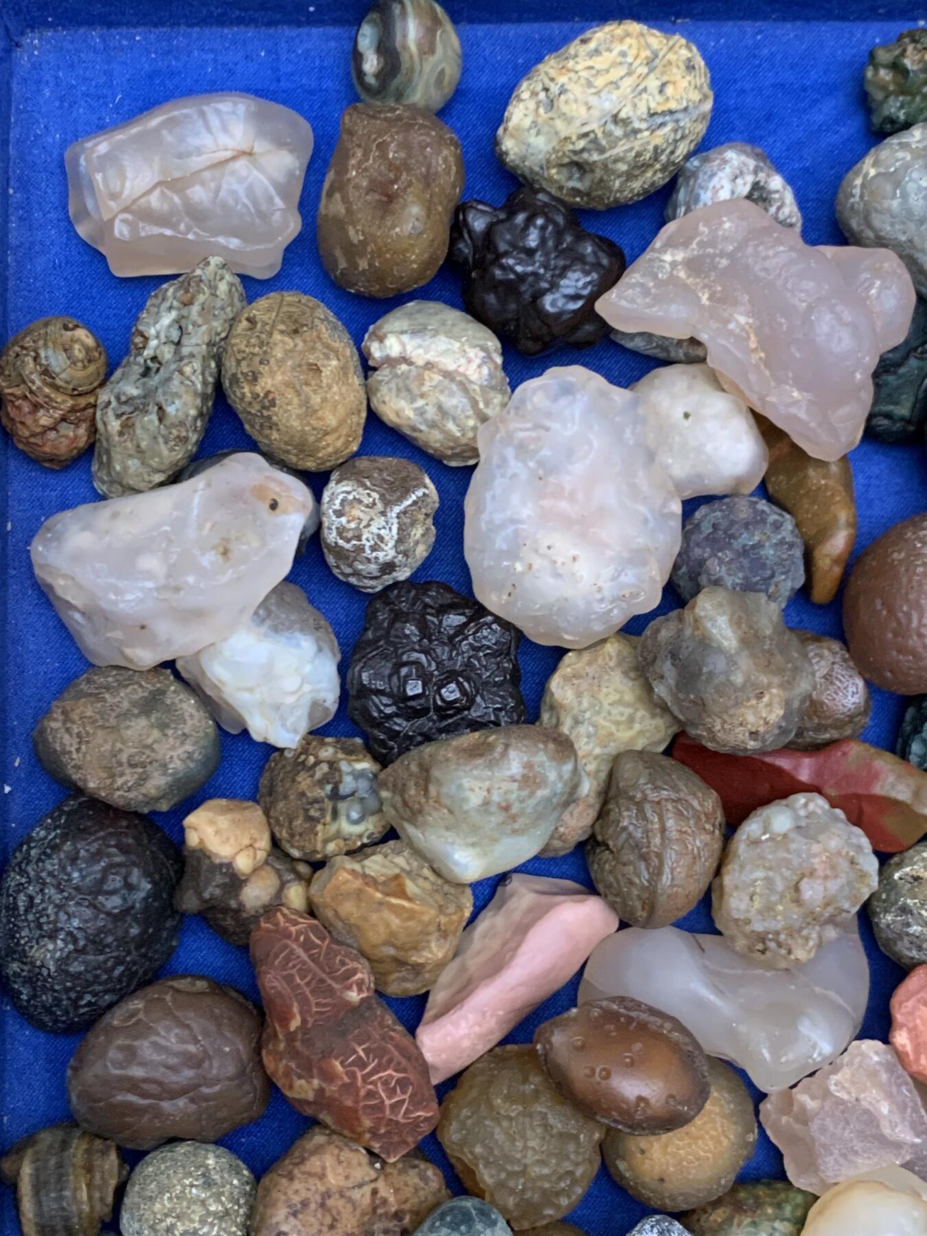 《竞宝斋》第471场 周日，周一，周二 3场连拍 （全场包邮）欢迎送拍 各类奇石玛瑙 重约2040克 细节品相见图