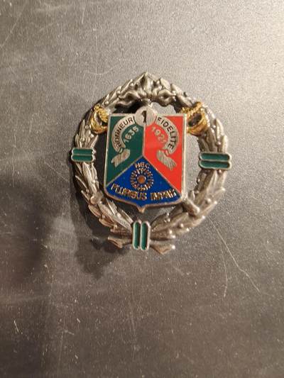 老王徽章第187期 - 法国外籍军团第1骑兵团证章